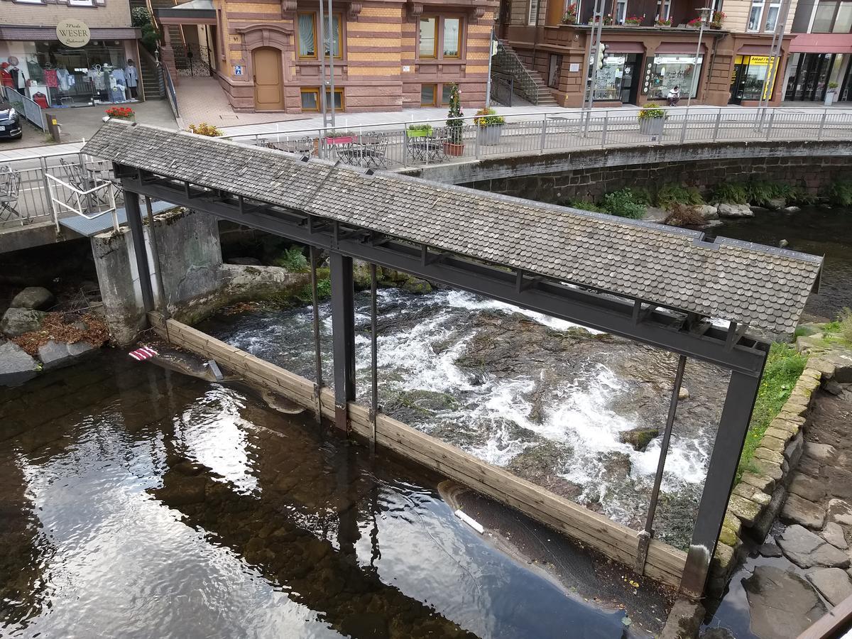 Hotel Sonne Bad Wildbad Exterior foto